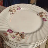 بشقاب گل سرخی