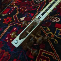 تار حرفه ای اعلا میثم علیاری|سازهای سنتی|پاکدشت, پاکدشت (مامازند)|دیوار