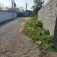 فروش زمین ۲۵۰ متری درروستای پاشکم شاندرمن|فروش زمین و ملک کلنگی|شاندرمن, |دیوار