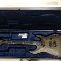 گیتار الکتریک Schecter Apocalypse