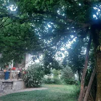 5-دقیقه-تا-فومن-خانه-ویلایی-دلباز