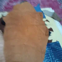 چرم گاوی