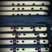 نی کلهر|سازهای بادی|قم, چهل اختران|دیوار