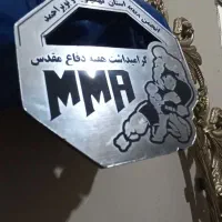 دستکش رزمی،اِم اِم ای،رزمی ترکیبی،گراپلینگ