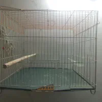 قفس پرنده