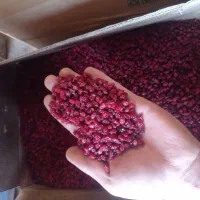 زرشک دانه اناری پلویی