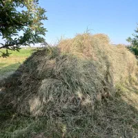 یونجه در بسته بندی سنتی