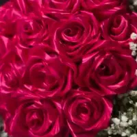 گل روبانی و تزئنی|گل مصنوعی|ایلام, |دیوار