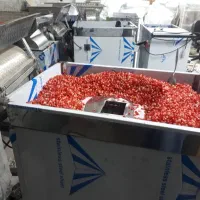 دستگاه انار دون کن صنعتی ، مناسب حجم کاری بالا
