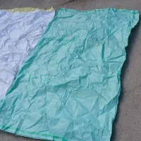 کیسه بزرگ سالم (خلال)