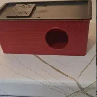 یک عدد لانه مرغ عشق زیر قیمت