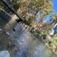 نیروی خدمات  رستوران جاده چالوس