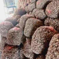 پیاززعفران برکت|عمده‌فروشی|تربت‌حیدریه, بازار|دیوار