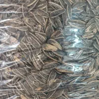 تخمه ۱۹۰ عمده|خوردنی و آشامیدنی|نیشابور, ده حلاج|دیوار