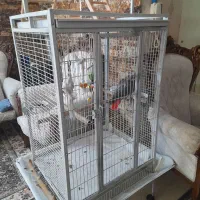 قفس کاسکو بزرگ درحد نو مناسب برای جفت و کاسکو|لوازم جانبی حیوانات|کرج, باغستان|دیوار