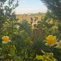 فروش زمین باغی ویلا  منطقه آزاد ارس جلفا