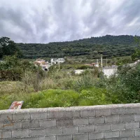 خریدزمین350متری درشهرک تازه تاسیس باقیمت افتتاحیه|فروش زمین و ملک کلنگی|نشتارود, |دیوار