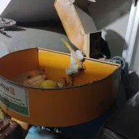 آسیاب گندم و جو|ماشین‌آلات صنعتی|گرگان, |دیوار