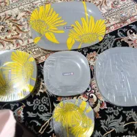 ظروف پذیرایی