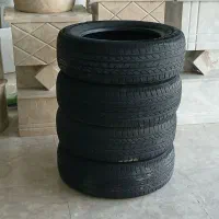 لاستیک پرشیا