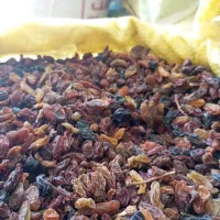 کشمش آفتابی کیلو ۱۱۲تومان|خوردنی و آشامیدنی|نیشابور, مدرس|دیوار