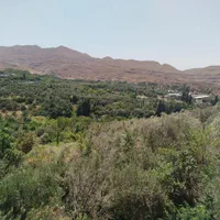 باغ زیتون  در شهرک هرزویل شهر منجیل|فروش زمین و ملک کلنگی|تهران, حر|دیوار