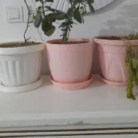 سه تا گلدان پلاستیکی