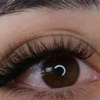 مدل کاشت هیدن