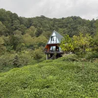 کلبه بدون همسایه دل جنگل های هیرکانی رامسر