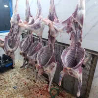 تهیه گوشت انواع مراسمات باحضور مشتری-کیفیت تضمینی