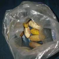 سنگ مهره