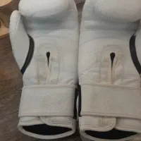 دسکش بوکس اصل|تجهیزات ورزشی|گنبد کاووس, |دیوار