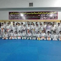 باشگاه هنرهای رزمی آرتا (آموزش کیوکوشین کاراته )