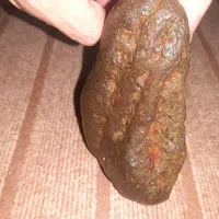 به نام روزی دهنده