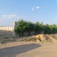 زمین باغی ۱۲۱۰ متر چهاردیواری جلال اباد