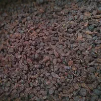 کشمش آبگیری
