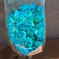 (فریمان)استخدام کارگراقادرگلخانه گل رزشاخه بریده|استخدام صنعتی، فنی، مهندسی|مشهد, کوشش|دیوار