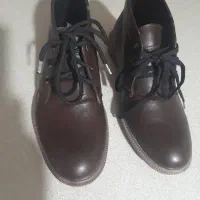 کفش خارجی مردانه|کیف، کفش، کمربند|سرپل ذهاب, |دیوار