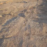 زمین-باغسنگان-سفلی