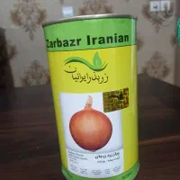 بذر پیاز زرد زرجان
