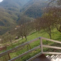ویلا-اجاره-ای-جنگلی