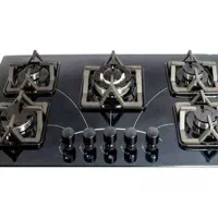 روگازی شیشه ای Lepan