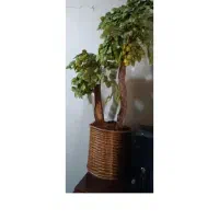 لوازم خانه|فرش|تهران, بهار|دیوار