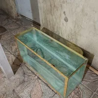 اکواریوم