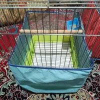 قفس کاسکویی مینا عروس هلندی طوطی برزیلی|لوازم جانبی حیوانات|شیراز, سیاه سنگ|دیوار