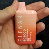 ویپ 5000پاف هندونه یه