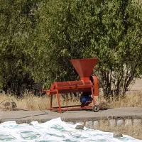کارگر اپراتور پوست کن بادام