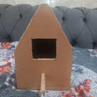 عروس هلندی سر جوجه و مرغ عشق سر تخم و قناری نر مست|پرنده|رامهرمز, |دیوار