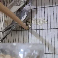 حراج به قیمت مناسب