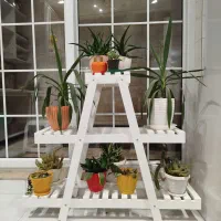 صندلی راک و استند گل به همراه گل ها|صندلی و نیمکت|شاهرود, |دیوار